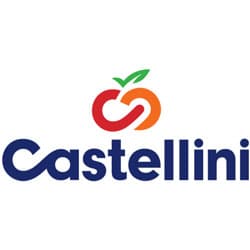 Castellini Logo