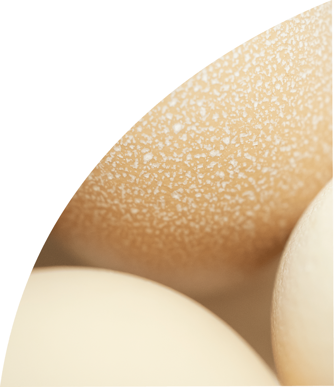 food cookies